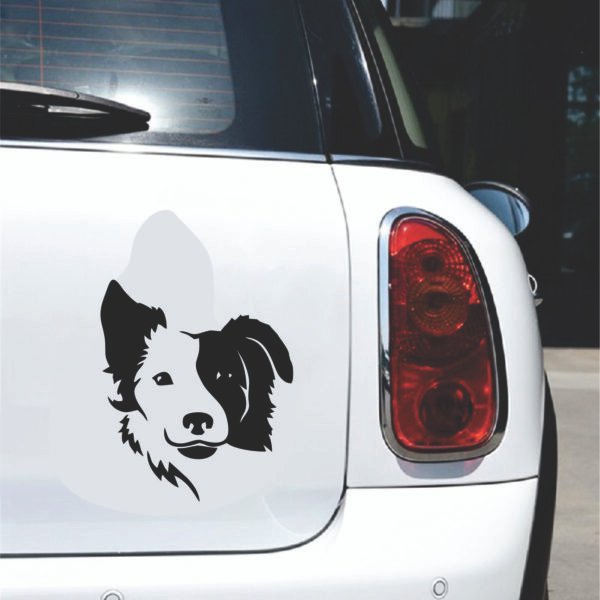 Perro Border Collie Adhesivo