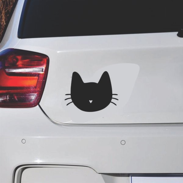 Gato Adhesivo
