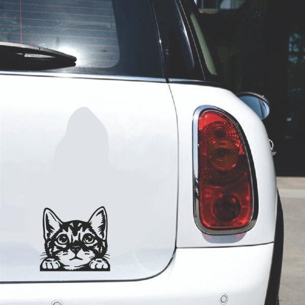 Gato Adhesivo