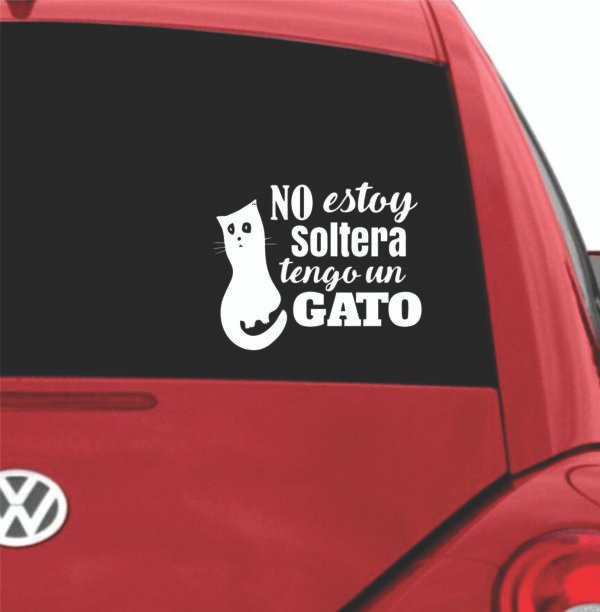 Frase Gato Adhesivo