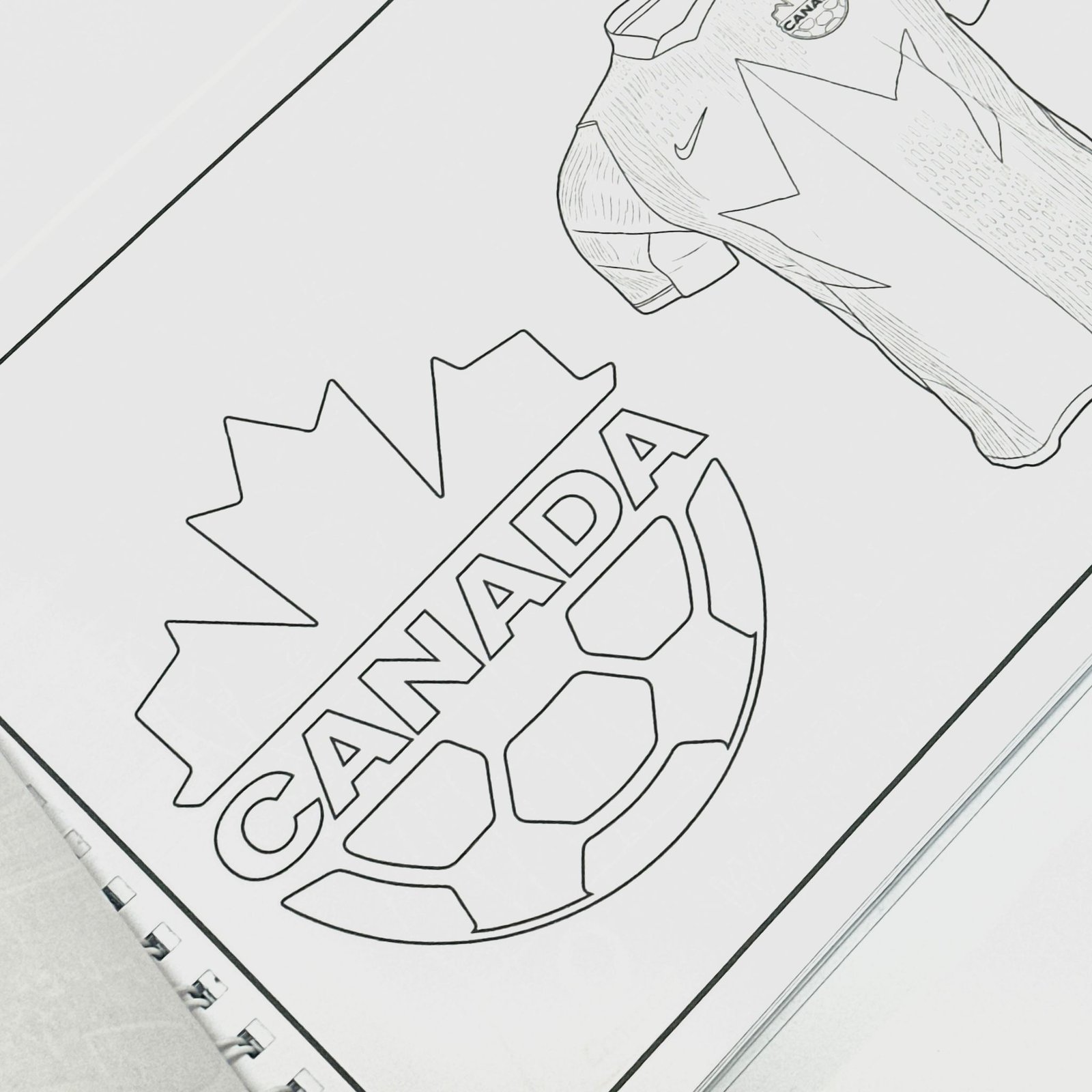 Mi libro Camino al Mundial 2026 - Imagen 5