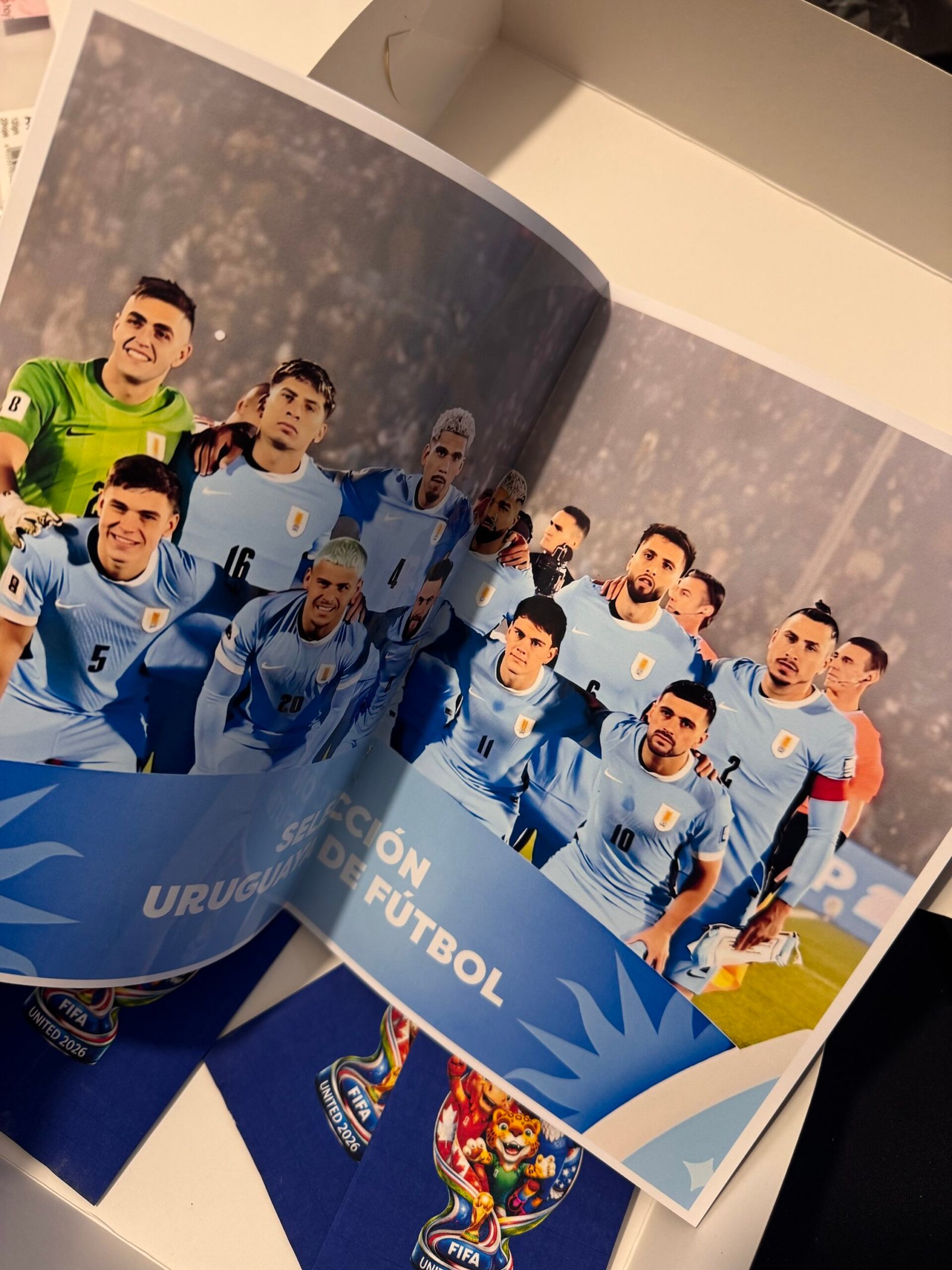 Álbum de figuritas de Uruguay Mundial 2026 - Imagen 8